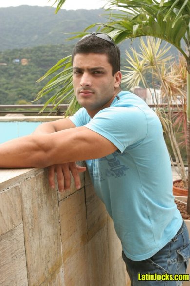 Nogueira - Foto 2
