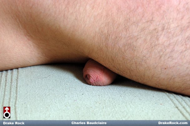 Charles Baudclaire - Foto 13