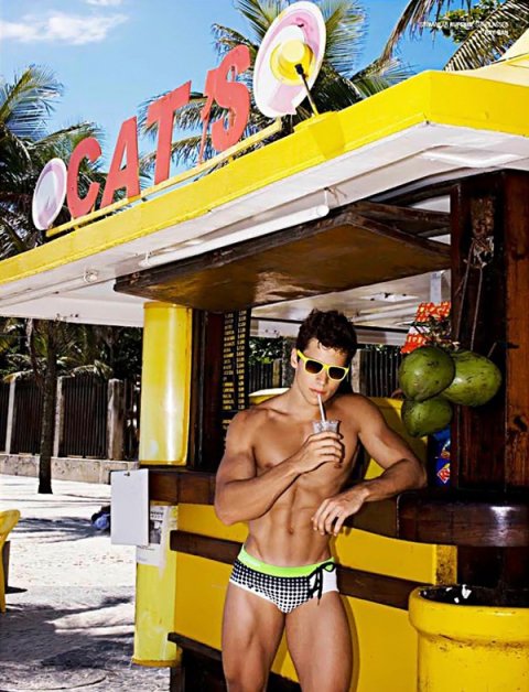 Renato Ferreira - Foto 6