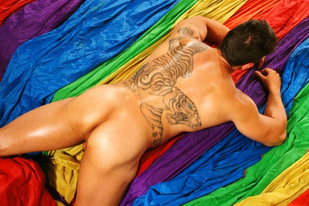 Evandro Belluco - Foto 8
