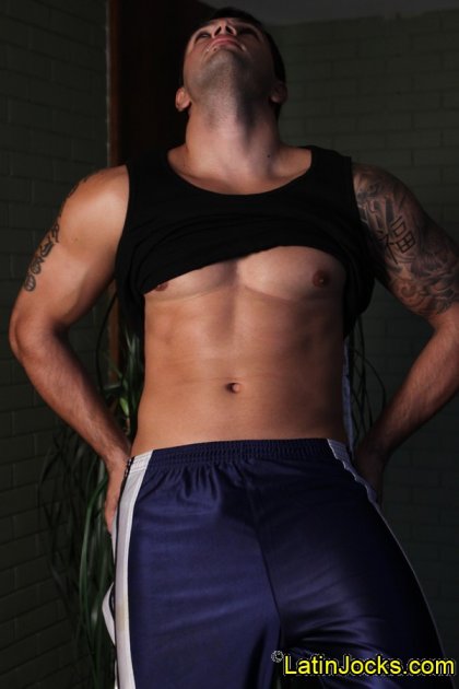 Alfredo - Foto 6