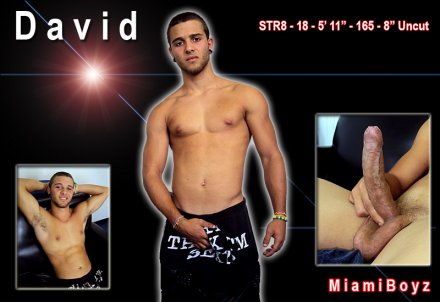 David - Foto 1