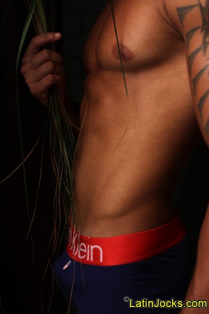 Julio Cesar - Latinosbrazil.blogspot.com - Foto 26