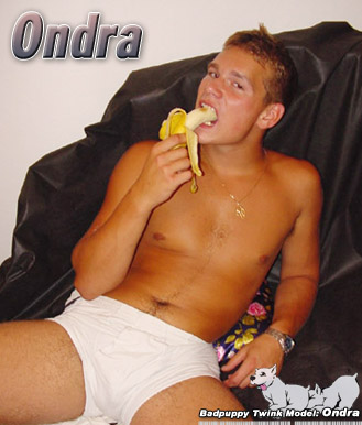 Andre -  latinosbrazil.blogspot.com - Foto 1