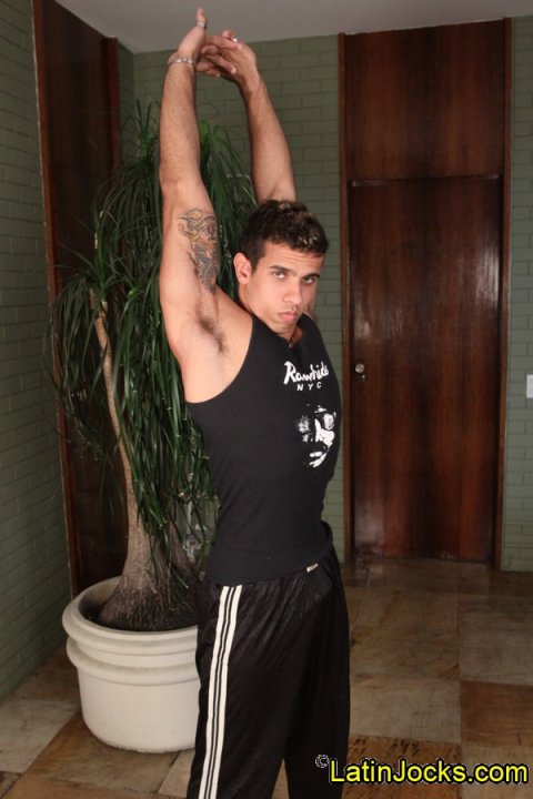 Bernardo -  latinosbrazil.blogspot.com - Foto 5