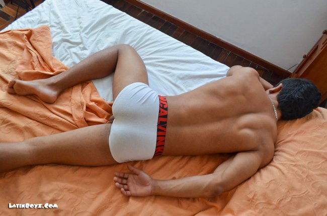 Ramone - Foto 14