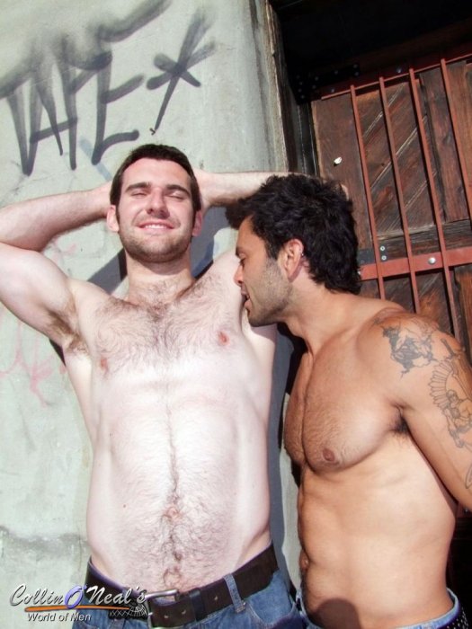 Josh Harris & Rogan - Foto 1