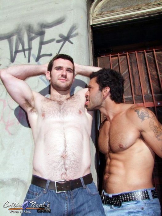 Josh Harris & Rogan - Foto 3