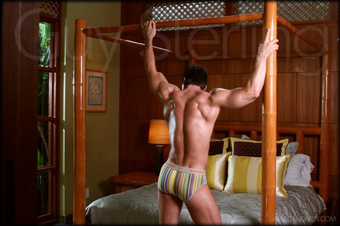 Guy Sterling - Foto 4