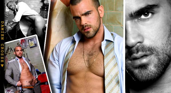 Damien Crosse - MaxeGatos - Foto 1