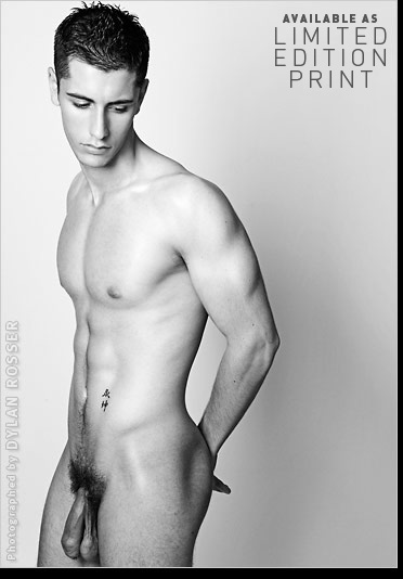 Vince - MaxeGatos - Foto 113
