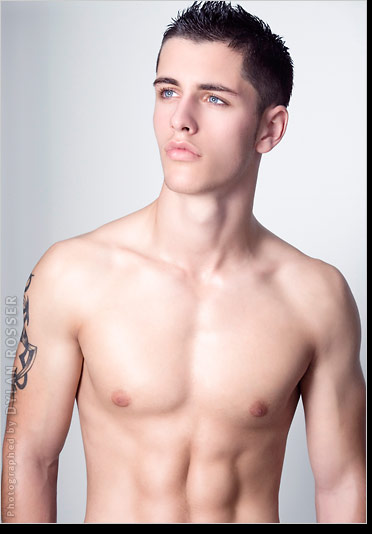 Vince - MaxeGatos - Foto 123