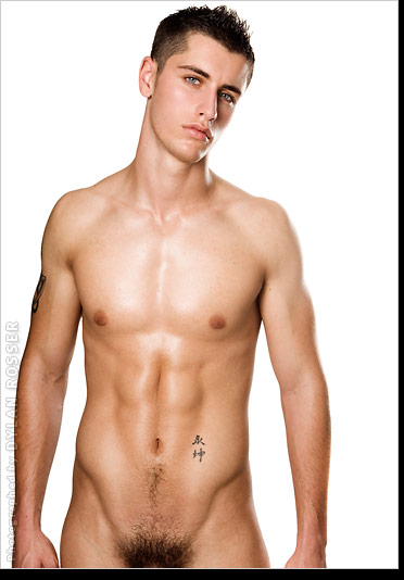 Vince - MaxeGatos - Foto 15