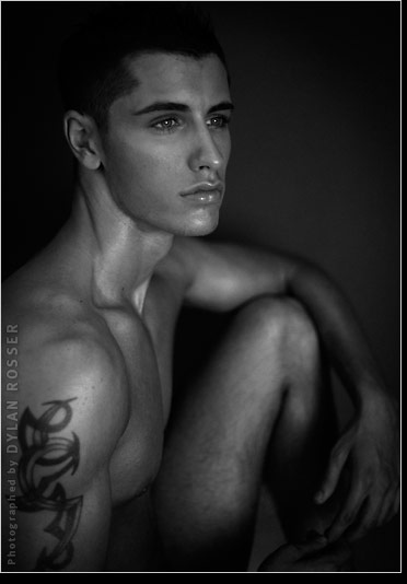 Vince - MaxeGatos - Foto 42