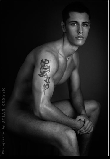 Vince - MaxeGatos - Foto 44