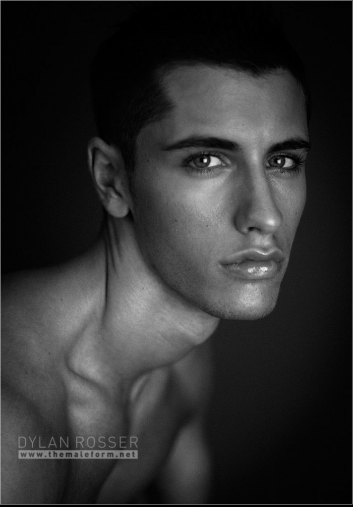 Vince - MaxeGatos - Foto 46