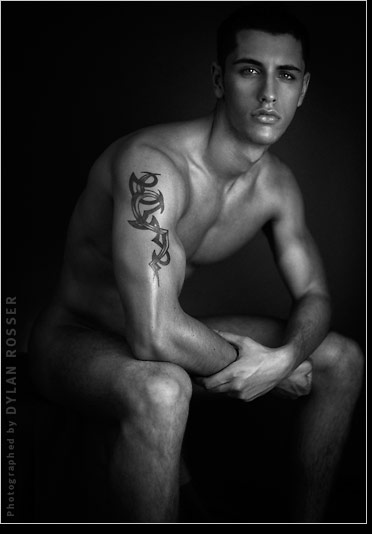 Vince - MaxeGatos - Foto 48