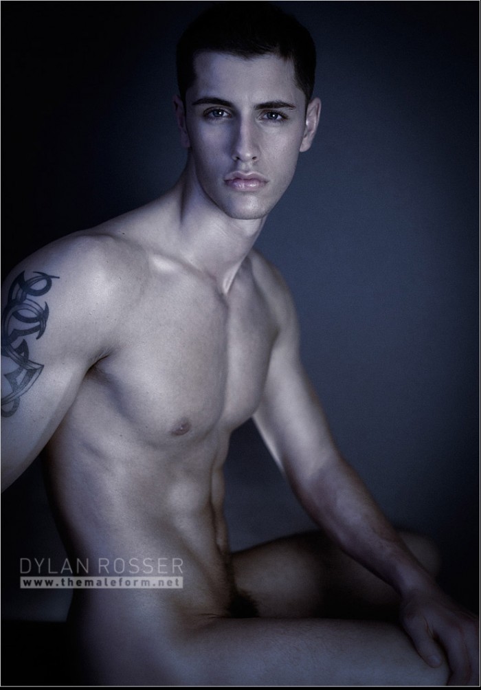 Vince - MaxeGatos - Foto 49