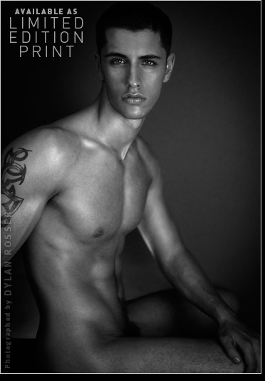 Vince - MaxeGatos - Foto 50