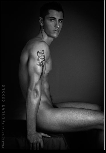 Vince - MaxeGatos - Foto 52