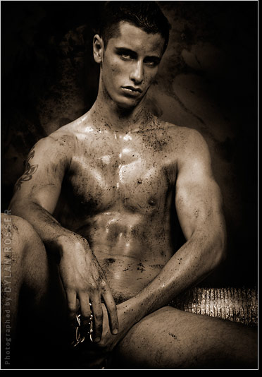 Vince - MaxeGatos - Foto 67
