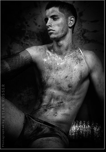 Vince - MaxeGatos - Foto 77
