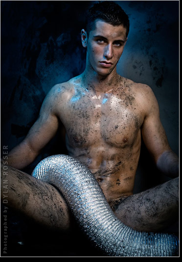 Vince - MaxeGatos - Foto 83