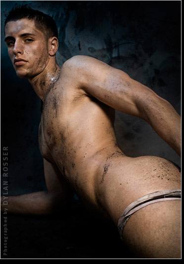 Vince - MaxeGatos - Foto 96
