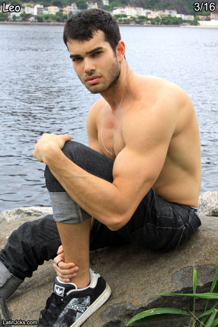 Leo - MaxeGatos - Foto 1