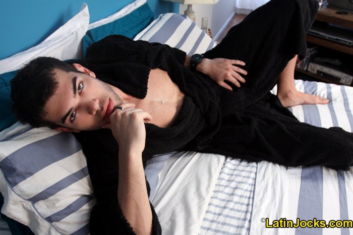 Leo - MaxeGatos - Foto 11