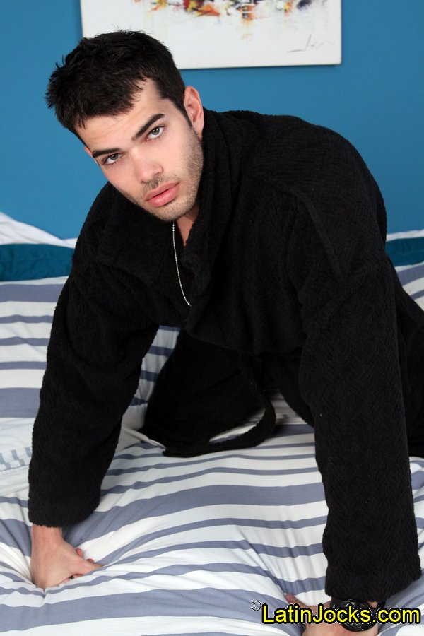 Leo - MaxeGatos - Foto 14