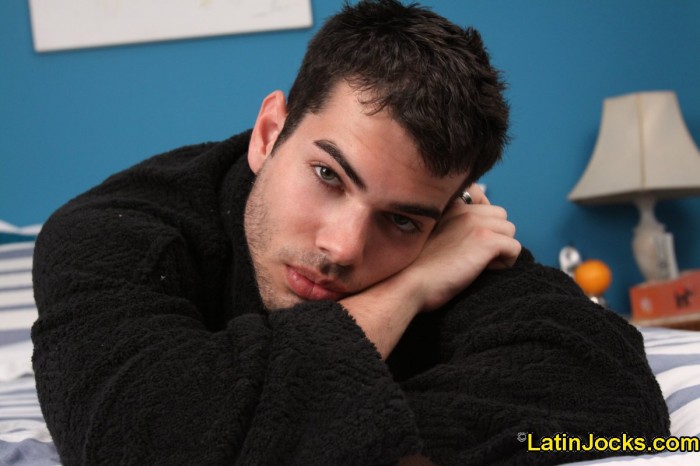 Leo - MaxeGatos - Foto 17