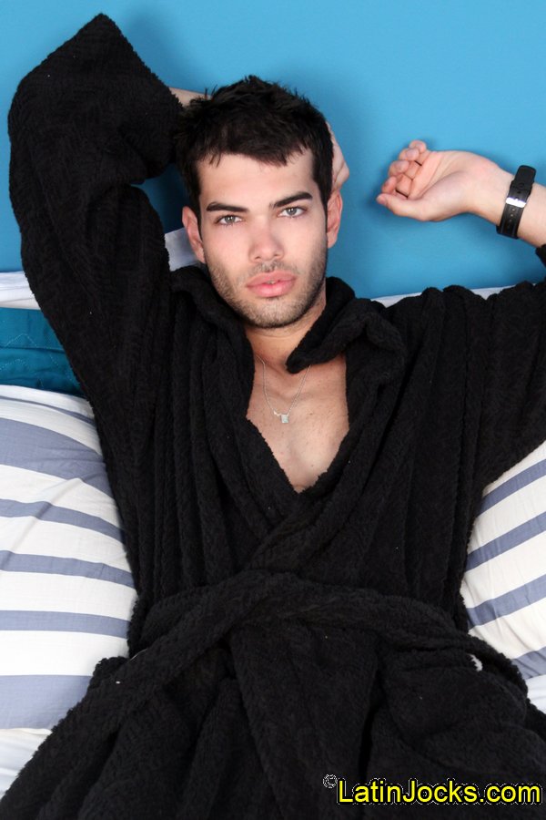 Leo - MaxeGatos - Foto 7