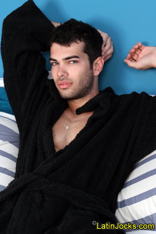 Leo - MaxeGatos - Foto 8