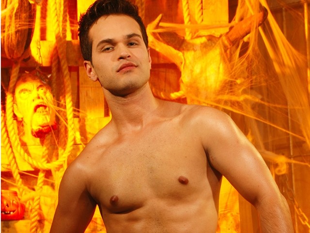 Thiago Zanini - MaxeGatos - Foto 3