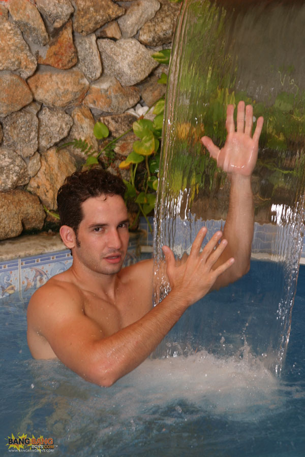 Felix Stulbach - MaxeGatos - Foto 91