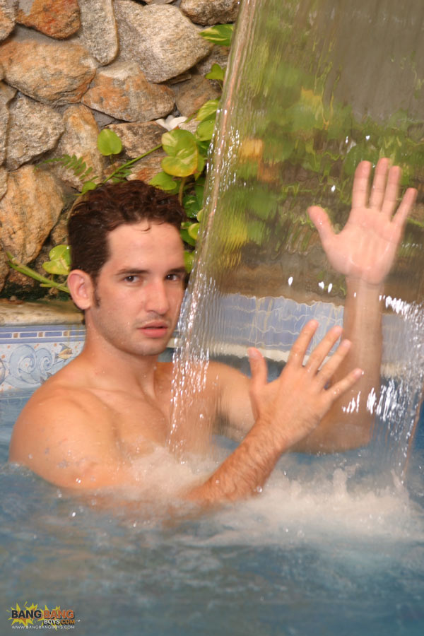 Felix Stulbach - MaxeGatos - Foto 93