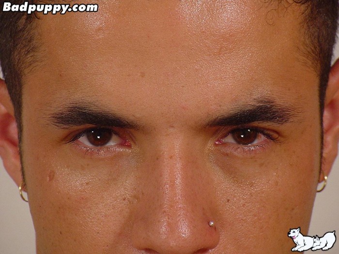 Marc - MaxeGatos - Foto 59