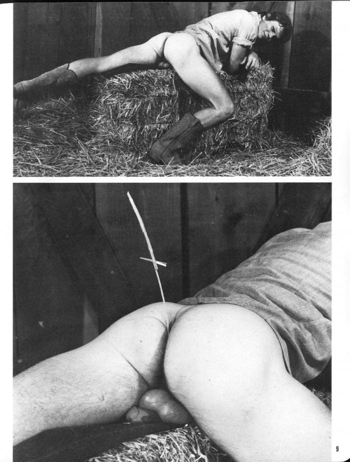 Lee Marlin - MaxeGatos - Foto 7
