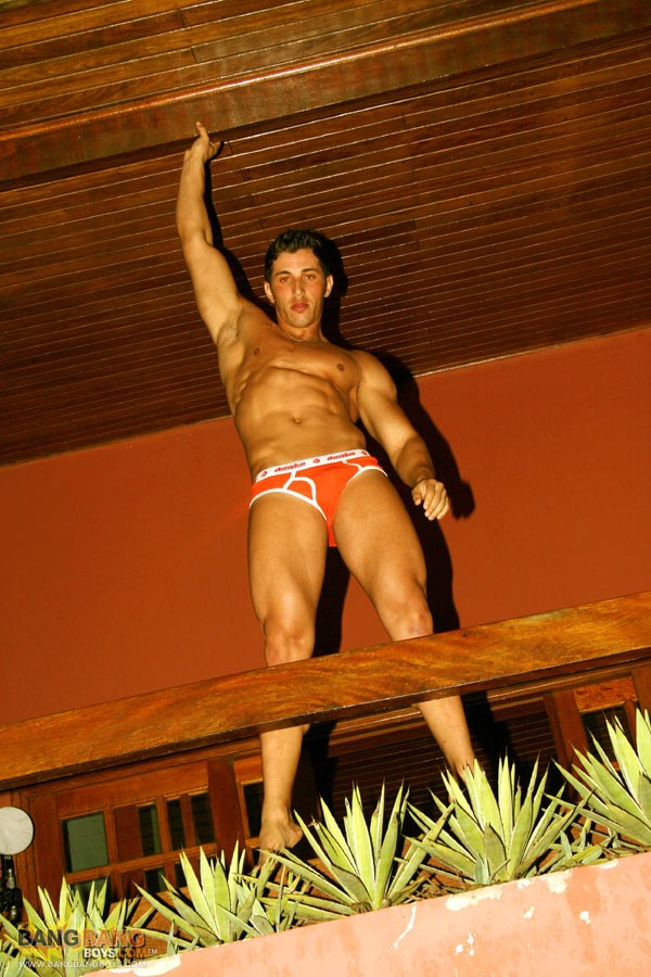 Marcos Soares - MaxeGatos - Foto 29