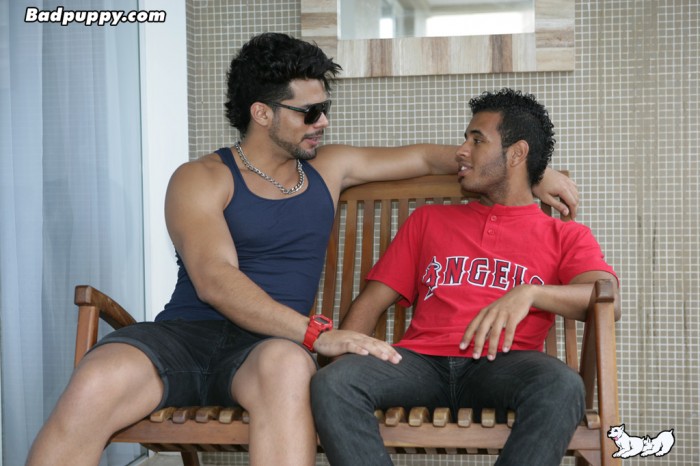 Joe & Lucas Fox - MaxeGatos - Foto 2