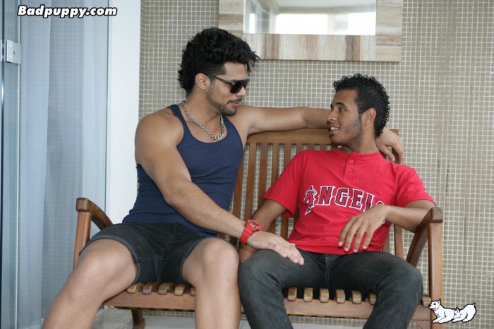 Joe & Lucas Fox - MaxeGatos - Foto 4