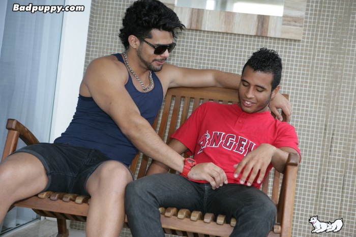 Joe & Lucas Fox - MaxeGatos - Foto 5
