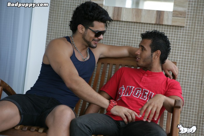 Joe & Lucas Fox - MaxeGatos - Foto 6