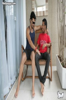 Joe & Lucas Fox - MaxeGatos