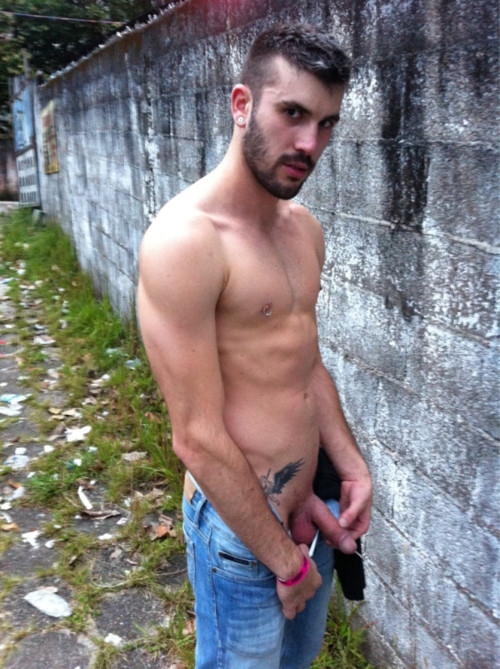 Murilo Mazer - MaxeGatos - Foto 13