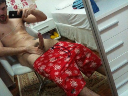 Murilo Mazer - MaxeGatos - Foto 37