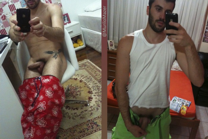 Murilo Mazer - MaxeGatos - Foto 5