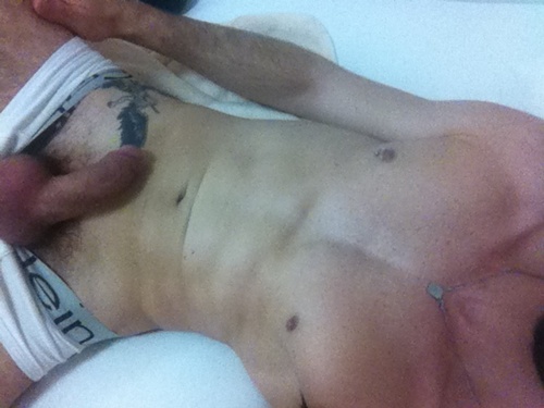 Murilo Mazer - MaxeGatos - Foto 51