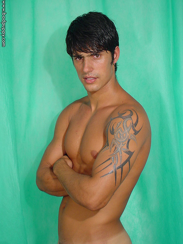 Alfonso - MaxeGatos - Foto 19